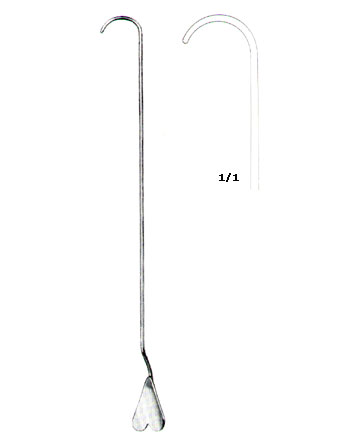 Probes, Applicators, Spatulas