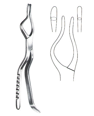 Rhinology